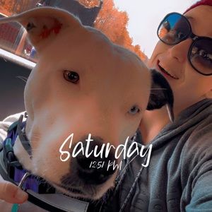 Meet your Posher, Jamie